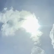 かえる