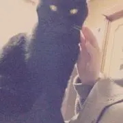 あの画像