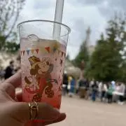 まめの画像