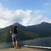 ゲルの画像