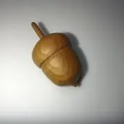 どんぐりの画像
