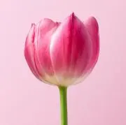 はちかん