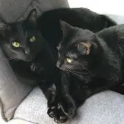 なの