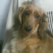 ☆M.N☆