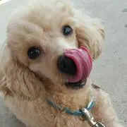 愛♡
