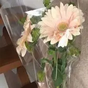 pの画像