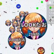 かいと