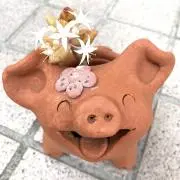 うみたんの画像