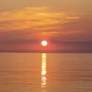 kiyoの画像
