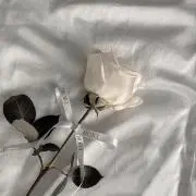 ☆☆の画像