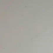 _の画像