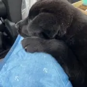 えーちゃんの画像