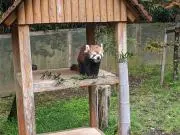 くろさんの画像