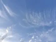 みゃおの画像