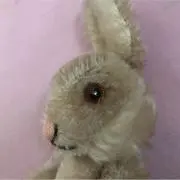 うさちゃんの画像