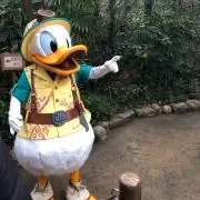 もずく