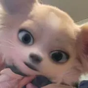 muitanの画像