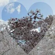 happy*の画像