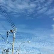 ekoの画像