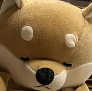 すだちの画像