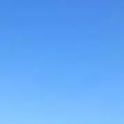 caanの画像