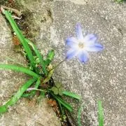 misono423の画像