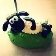 亀＊の画像