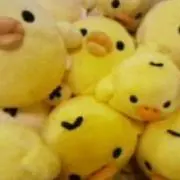 そふそふ