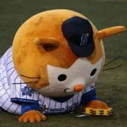 ハムの画像