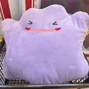 ぴーの画像