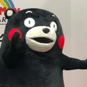 モンの画像