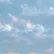 マメまろ。
