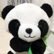 MUMの画像