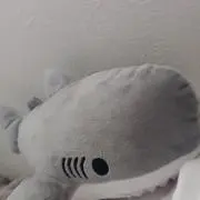 大学いもの画像