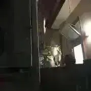 鈴木〜の画像