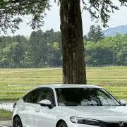 むじ