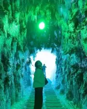 Hikariの画像