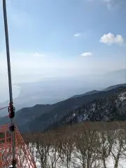 みるとりの画像