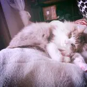 こっちゃん