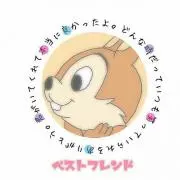 pokon
