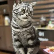 ひぃ