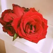 らんねぇ※プロフィールをお読みくださいの画像