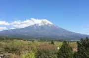 マチーの画像