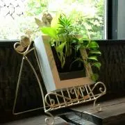 Yoshiの画像
