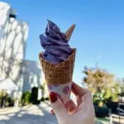 さといも.の画像