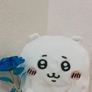 ちいかわの画像