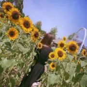 サツまいも