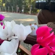 なっかー7