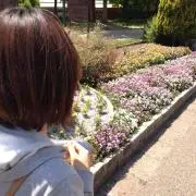 ゆー