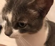 Milkの画像